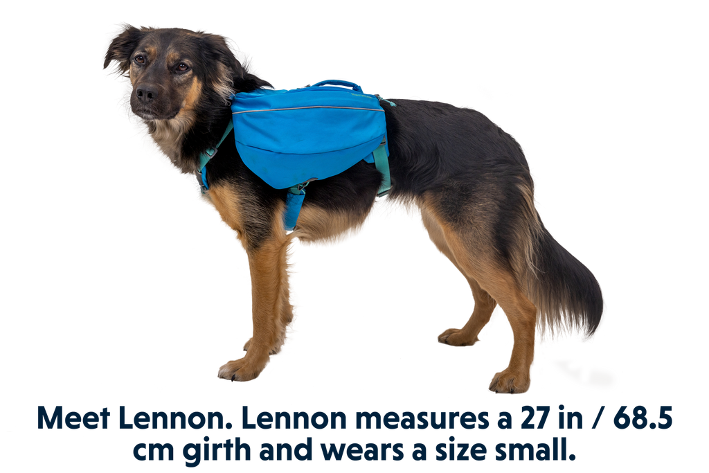 Adventure-Ready Approach™ Dog Backpack for Hiking and Exploration