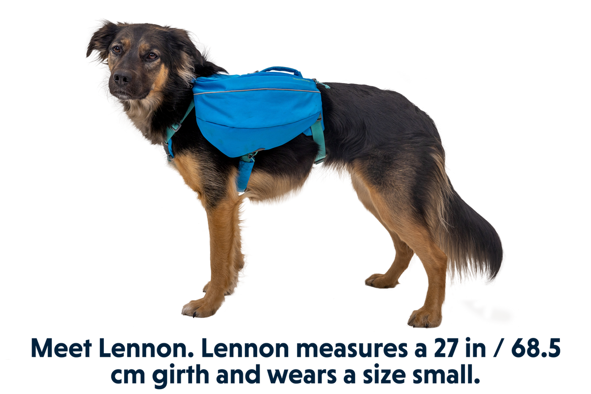 Adventure-Ready Approach™ Dog Backpack for Hiking and Exploration
