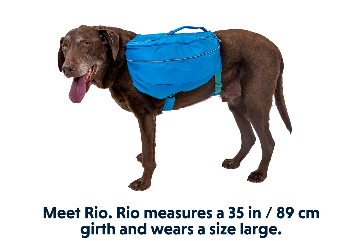 Adventure-Ready Approach™ Dog Backpack for Hiking and Exploration