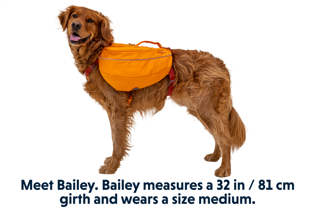 Adventure-Ready Approach™ Dog Backpack for Hiking and Exploration