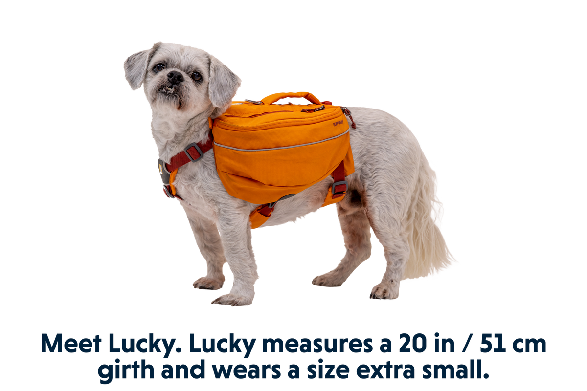 Adventure-Ready Approach™ Dog Backpack for Hiking and Exploration