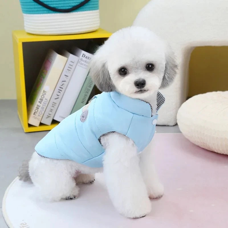 Dog Winter Clothes for Small Medium Dogs & Cats with D-Ring 