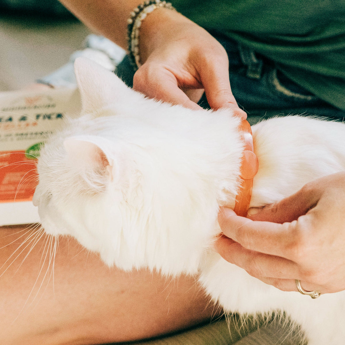Protect Your Pets with Our Peppermint Flea & Tick Collar for Dogs and Cats – Lasts Up to 4 Months!