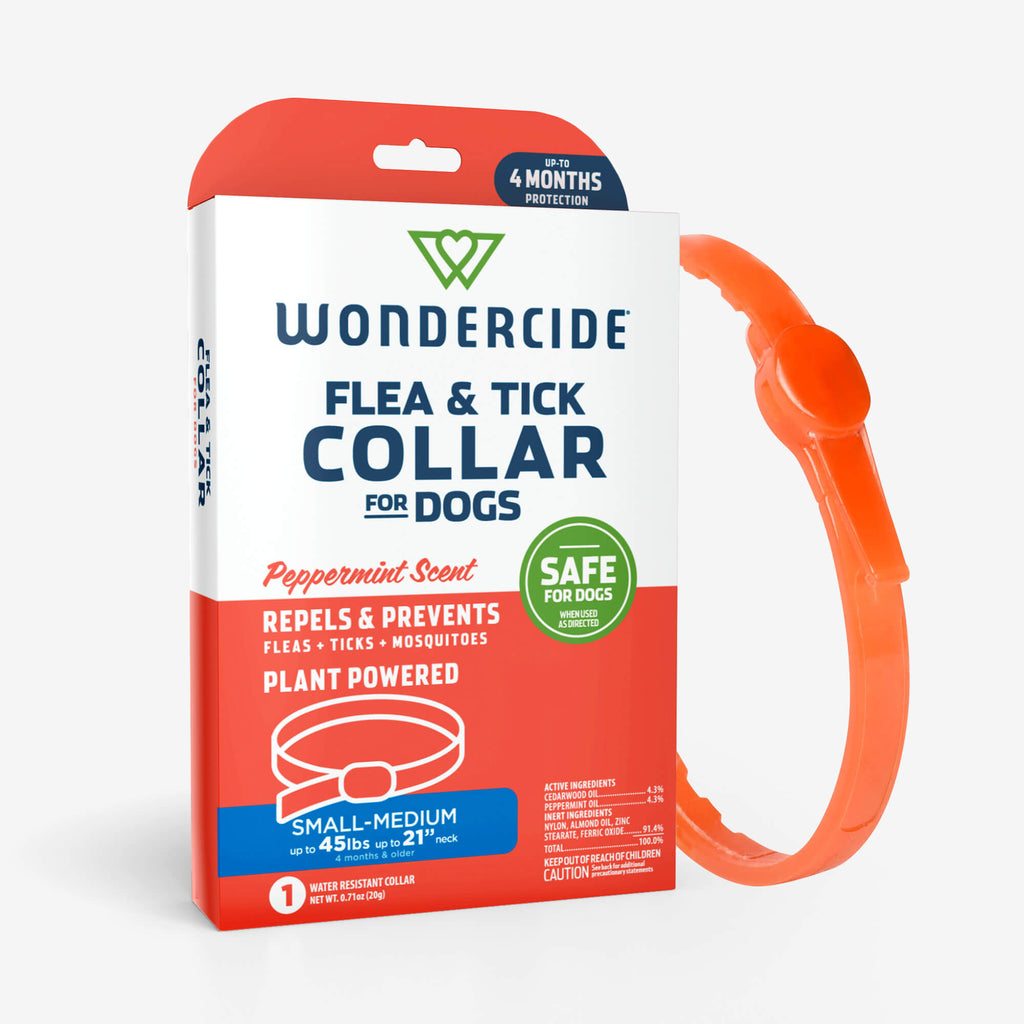 Protect Your Pets with Our Peppermint Flea & Tick Collar for Dogs and Cats – Lasts Up to 4 Months!