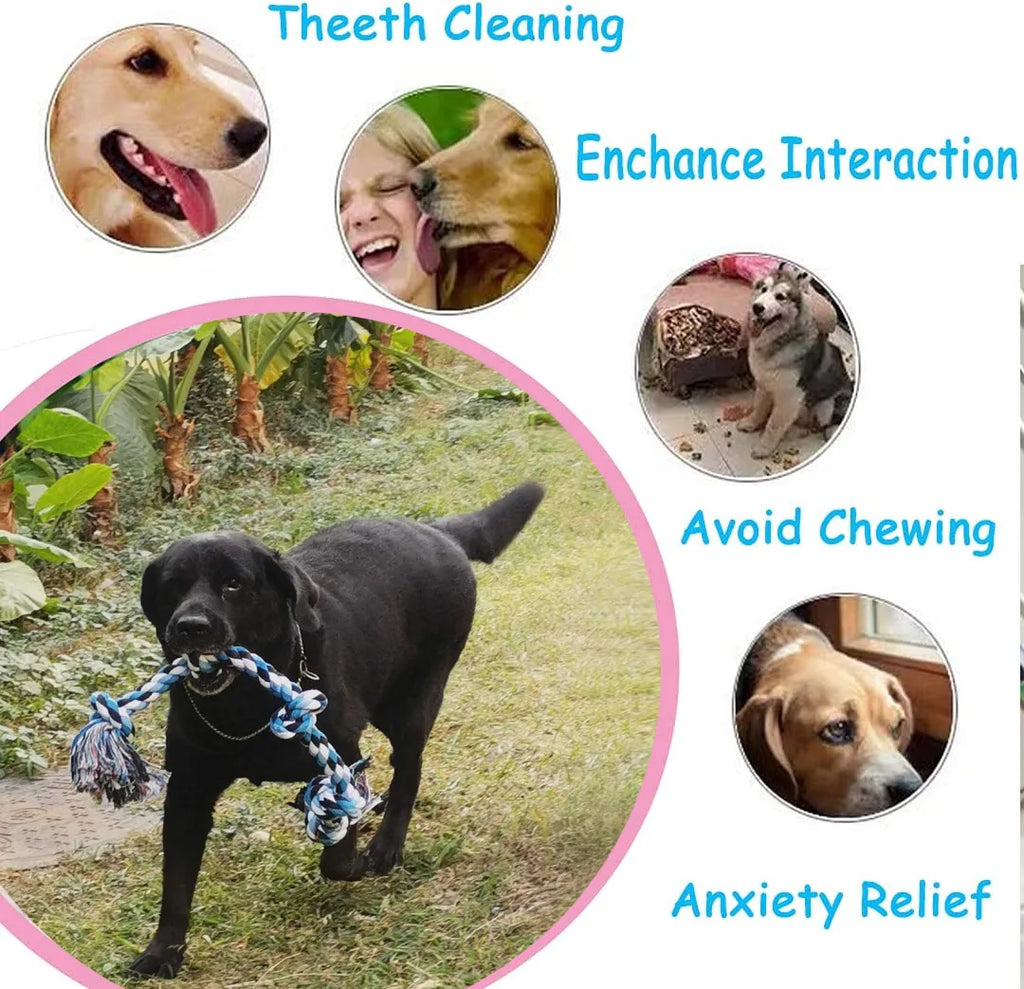 Durable Cotton Dog Bite Rope Toys for Safe Dental Cleaning and Playtime Fun