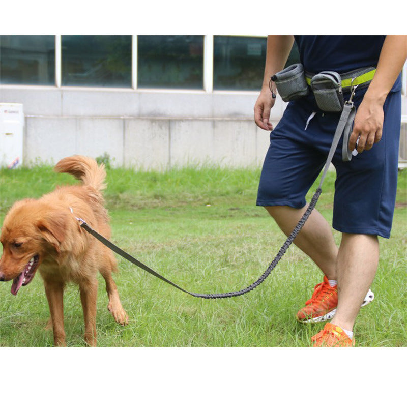 Adjustable Hands Free Dog Leash 